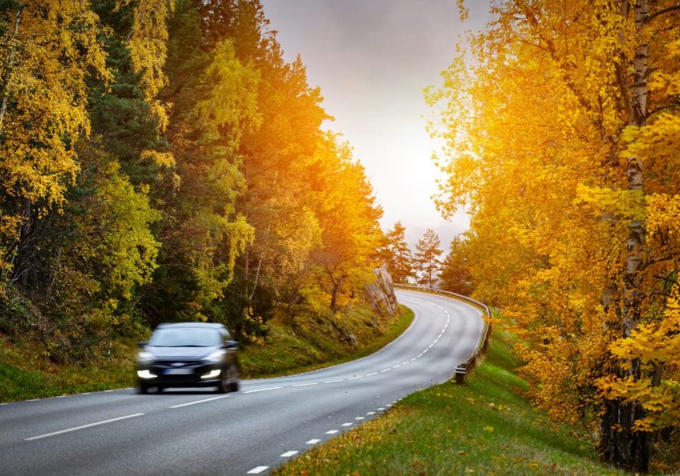 Car on the road in the forest, Sweden